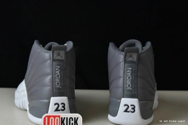 STEALTH CT8025-610 JORDAN AIR 12 0723